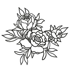Black and white outline drawing of a bouquet of peonies for coloring page. Simple flat vector drawing of flowering plants