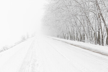 Obraz premium Winter road snowfall. An empty rural road without cars, covered with snowdrifts. Travel in bad weather. Winter cloudy landscape with a country road. Tracks of passing cars. The concept of winter magic