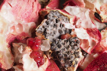 moldy pomegranate seeds. spoiled fruit