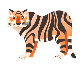 Fototapeta na wymiar Big tiger wild animal vector illustration on white background