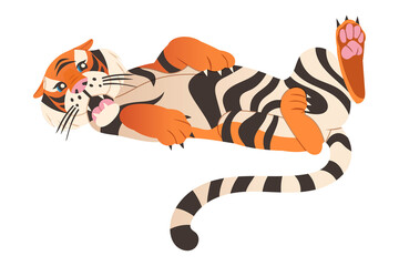 Big tiger wild animal lying on its back vector illustration