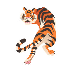 Fototapeta na wymiar Crouching roaring tiger. View from above of big wild cat animal vector illustration