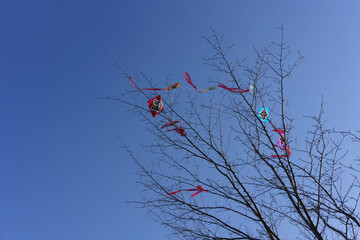 お正月の凧揚げ