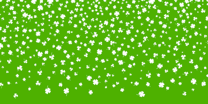 Shamrock or white clover leaves pattern background flat design vector illustration isolated on green background. St Patricks Day shamrock symbols decorative elements pattern.