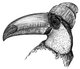 black and white engrave isolated toucan illustration © Turaev