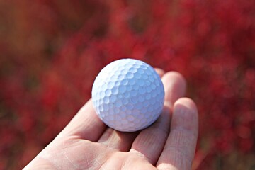 한국의골프공입니다