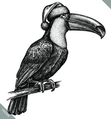 black and white engrave isolated toucan illustration © Turaev