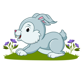 The happy rabbit is running on the grass