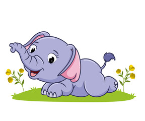 The cute elephant laying on the grass in the garden