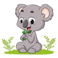 The koala is playing the leaves