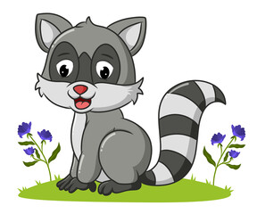 The raccoon is sitting in the garden