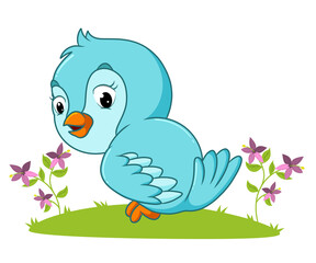 The happy bird is perching on the grass