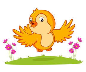 The bird is flying on the grass