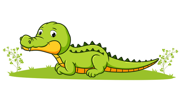 The cute crocodile is laying down in the garden