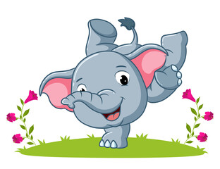 The happy elephant is doing the attraction in the garden