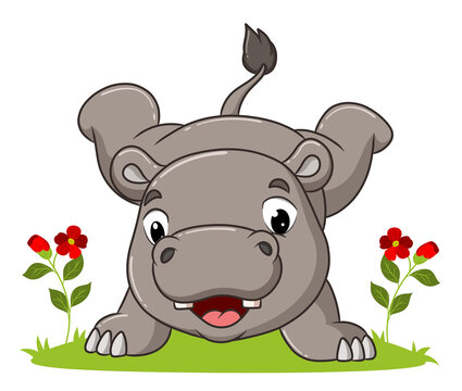 recommend clip art: The happy hippopotamus is doing the handstand in the garden