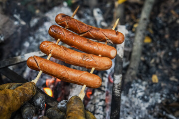 Roast sausage over the fire. camping in the wild