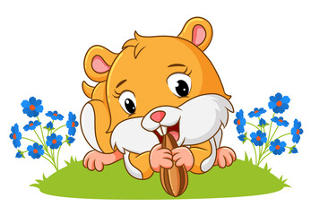 The cute hamster is holding and eating the sunflowers seeds