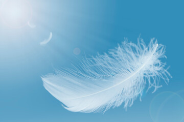 Abstract. Lightly of White Feathers Floating in a Blue Sky. Feather Flying in Heavenly. Swan Feathers	