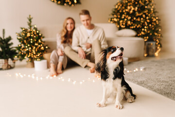 A happy couple in love and their pet dog play cuddle spend time together on Christmas holiday in the decorated interior of a room in a cozy house. Selective focus