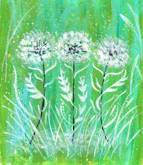 painting illustration of  dandelion flower