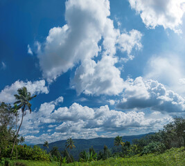 clouds over the field