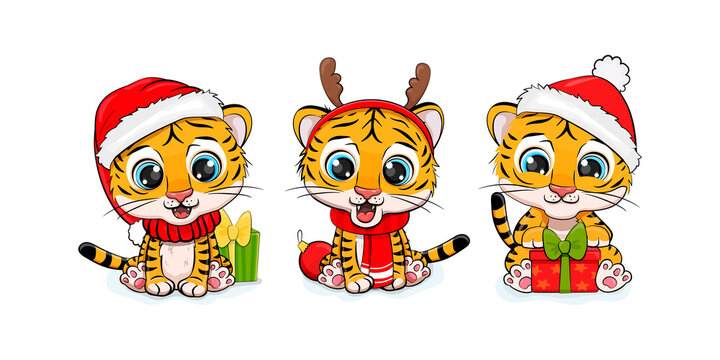 Collection of Christmas tiger, Merry Christmas illustration of cute tigers with accessories, hats, scarves and gifts. Set of chinese tiger cub