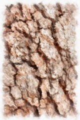 bark texture watercolor style illustration impressionist painting.