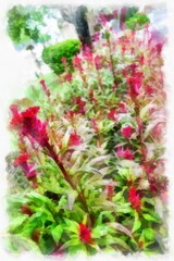 tree with red tops watercolor style illustration impressionist painting.