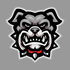 Cartoon bulldog head on white background