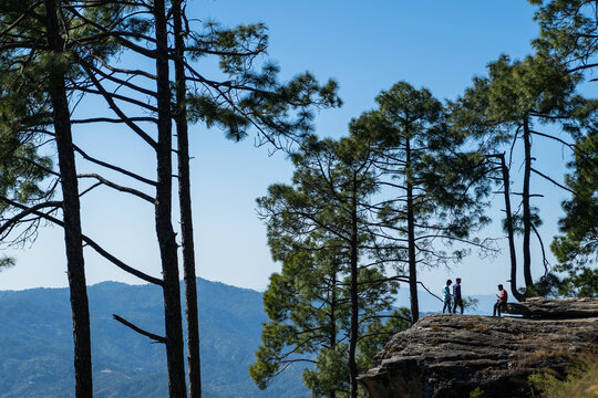 view of almora city from kesar devi on a bright sunny day