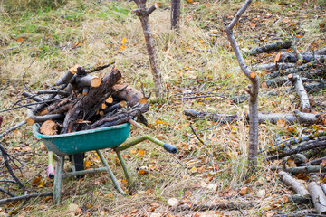 Cut firewood in the yard of village house