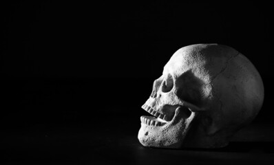 Skull on black background. Halloween concept.