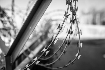 Shallow depth of field (selective focus) image with razor wire.