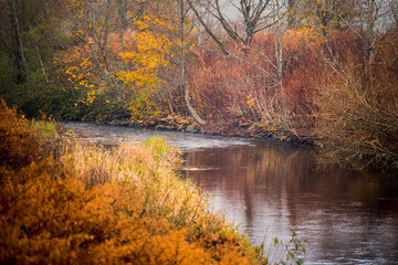Autumn landscape. Calm river water between the red banks.