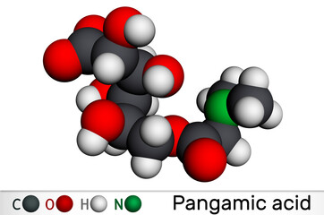 Pangamic acid, pangamate molecule. It is vitamin B15, ester derived from gluconic acid and dimethylglycine. Molecular model. 3D rendering