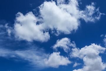 Obraz premium A group of white cumulus clouds in the blue sky background. The shape of the independent nature.