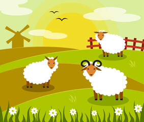 Fototapeta na wymiar Lamb standing in the field. Three sheep vector illustration. Windmill and country fence. Ranch and farm concept. Rural landscape. Sheep cartoon. Countryside illustration. Flock of sheep. Farm meadow. 
