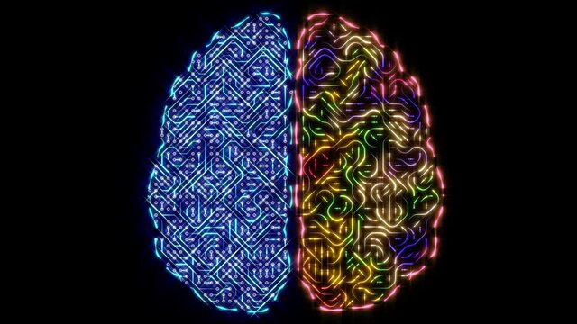 Left and right brain concept