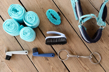 Equipment for horse riding and care: brushes of various sizes and purposes, bridle, bandages