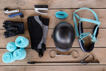Topview of equipment for horse care and riding: brushes of various sizes and purposes, bridle,...