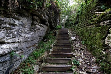A wooden staircase goes up between the rocks. Moss and forest
