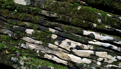 Texture of gray limestone rock with cracks and moss