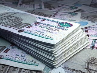 Egyptian money. Egyptian pound banknotes. 10 EGP pounds bills. - obrazy, fototapety, plakaty