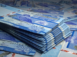 Gambian money. Gambian dalasi banknotes. 20 GMD dalasis bills.