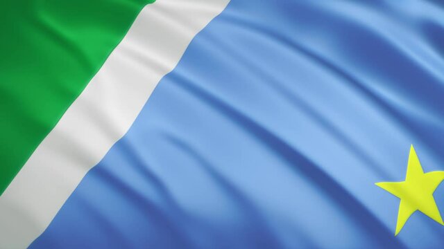 Mato Grosso do Sul - Waving Flag Video Background - Brazil State