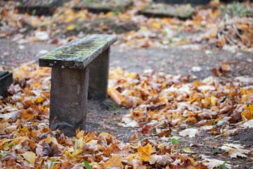 old simple wooden bench in Latvian cemetery. Autumn leaves from maples, linden and oak on ground