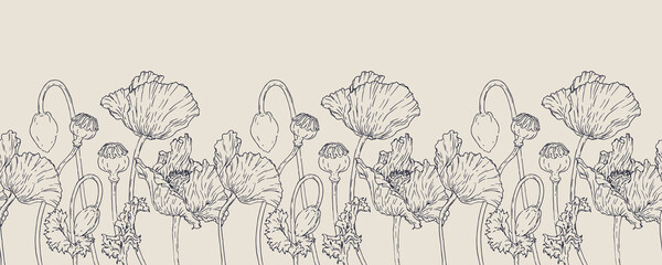 Vector horizontal hand darwn poppy flower. Seamless border. Eps 10. Line-art botanical illustration. Floral backdrop - obrazy, fototapety, plakaty