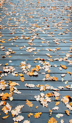 oak leaves on the beams of a wooden bridge in a park in autumn
