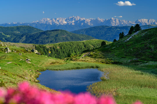 Lake amidst grass at Julian Alps, Carinthia, Austria